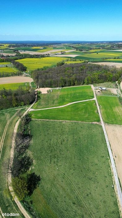 Widokowa działka budowlana 1200 m² z mediami - NOWA CENA! - Widok 5