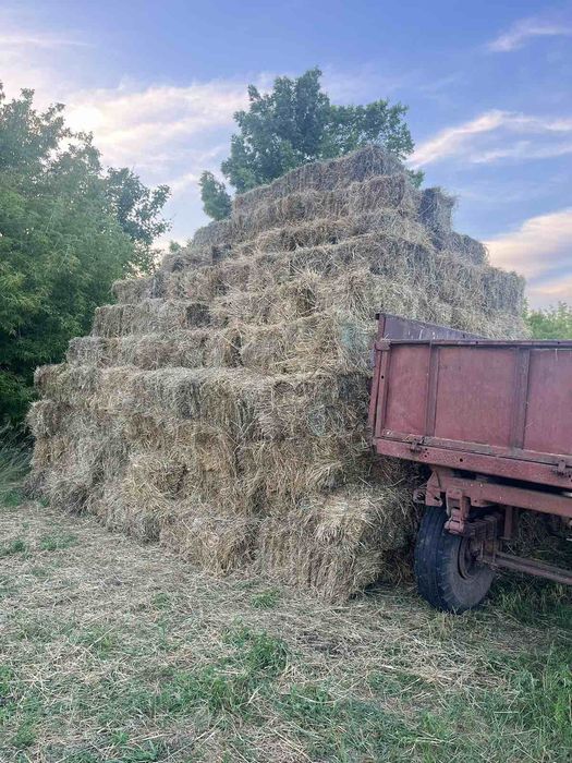 Продам ТЮКИ (Берегова трава)