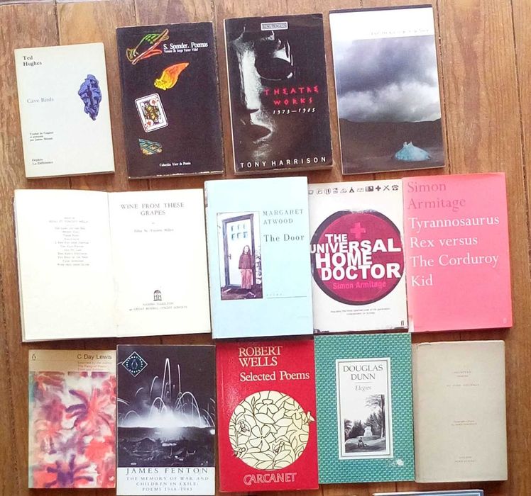 Poesia inglesa e norte-americana