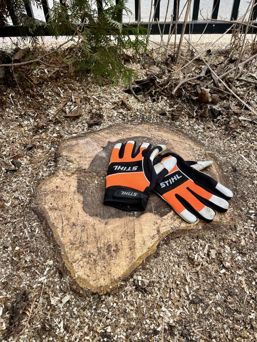 Alpinistyczna Wycinka Drzew