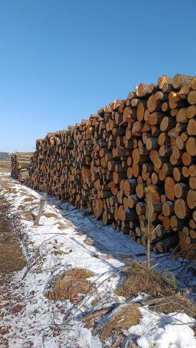 Drewno Opałowe Kominkowe