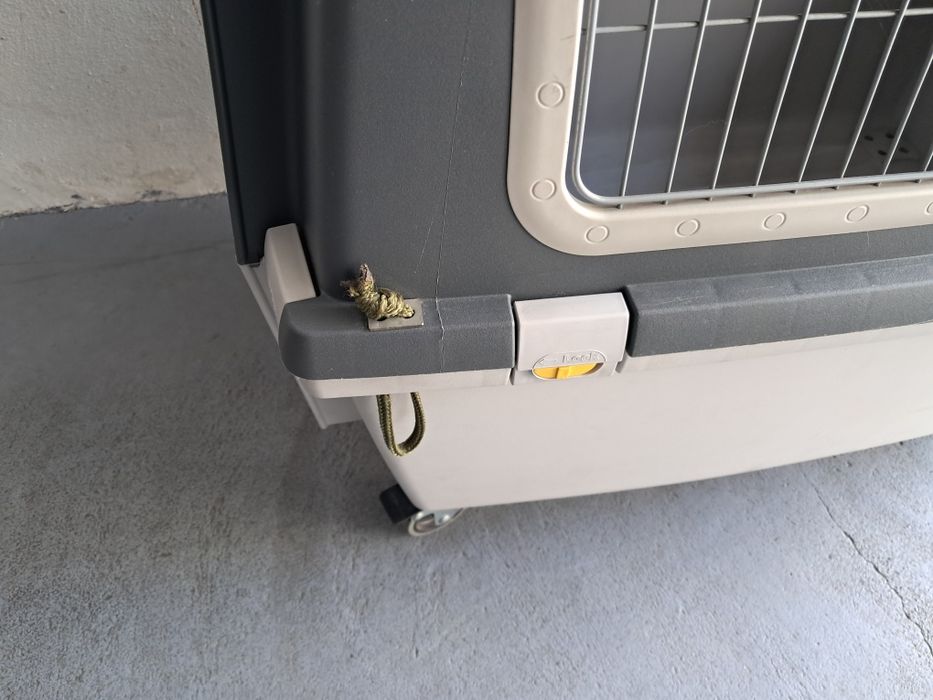 Transportadora Gulliver VI