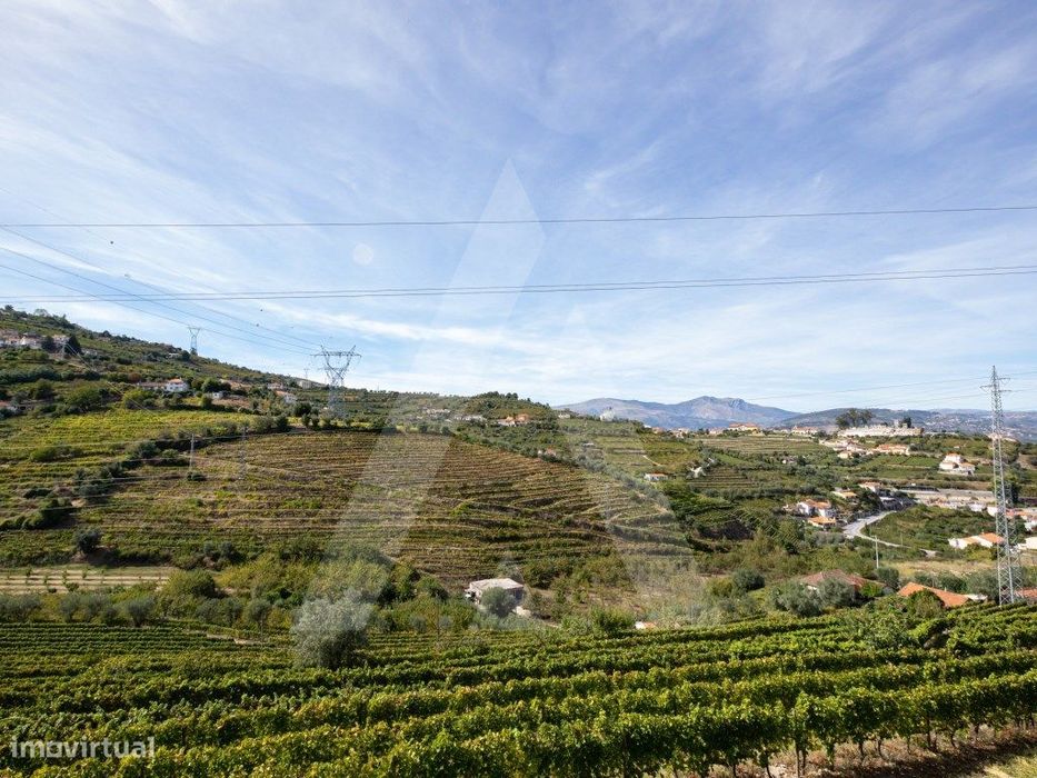 Quinta no Alto Douro - Região Demarcada do Douro
