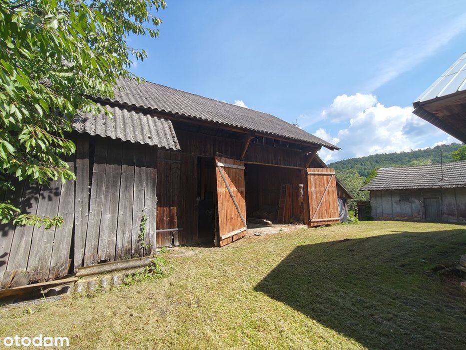 Siedlisko 38 arów z drewnianym domem - Bachów (Podkarpacie)