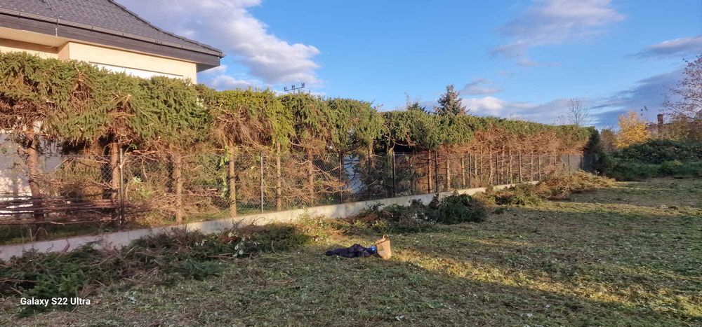 Wycinka drzew krzewów i inne prace ogrodowe, remonty, prace ziemne.