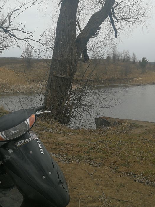 Продам хонду діо