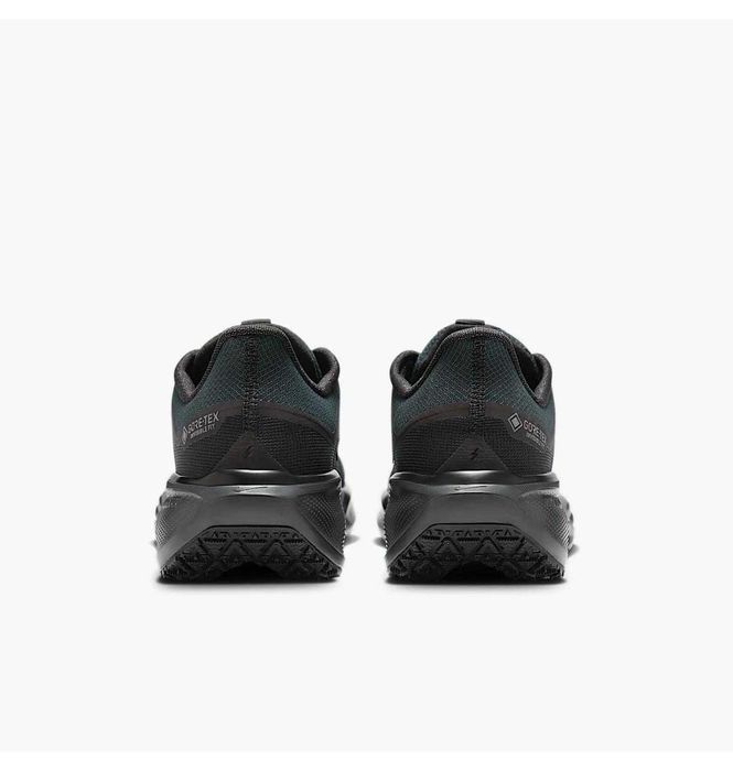 Кросівки для бігу чоловічі Nike Air Zoom Pegasus 41 Gore-Tex (FQ1356-0