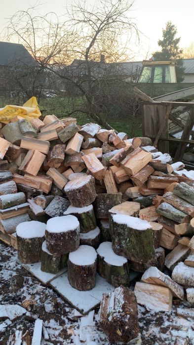 Sprzedam drzewo suche