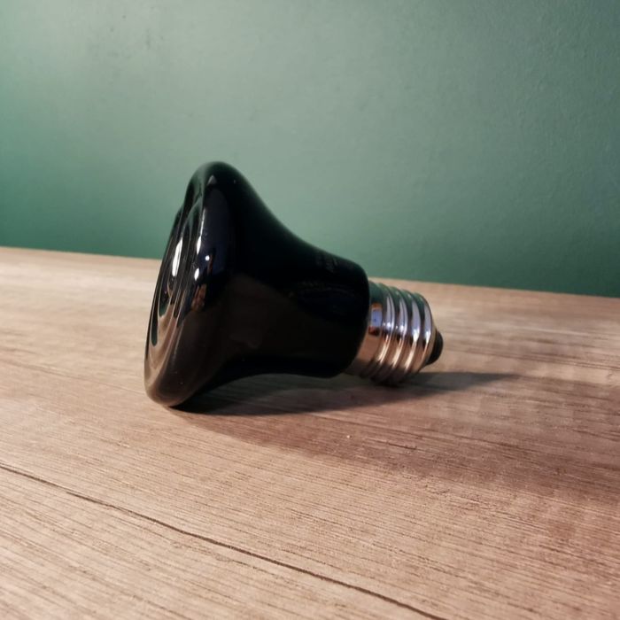 Lampa grzewcza do terrarium 100w