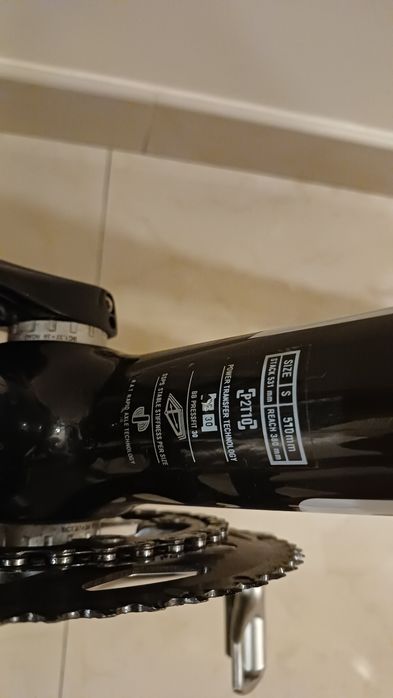 Focus cayo como nova