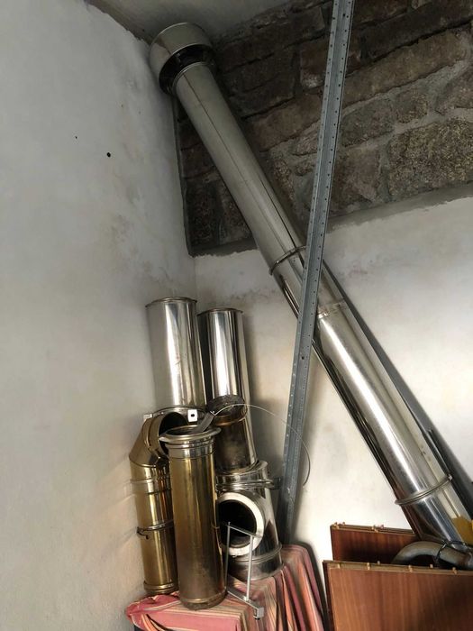 Salamandra em bom estado