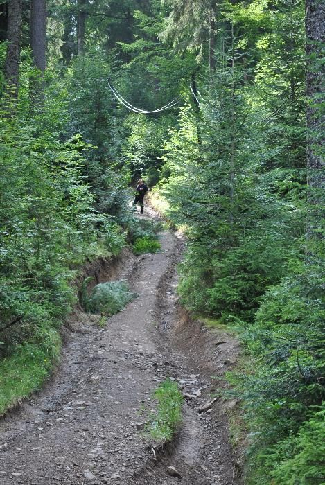Земля в Закарпатті біля озера "Синевир"