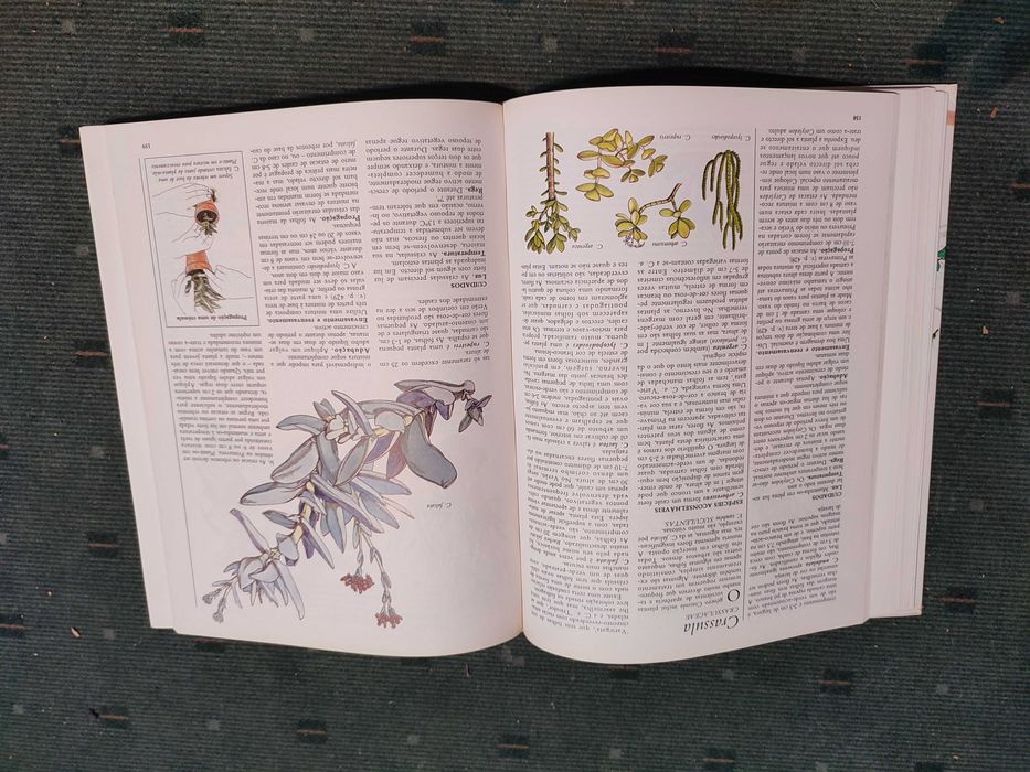 O Grande livro das Plantas de interior