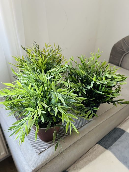 Штучна рослина ikea fejka висота 23 см.