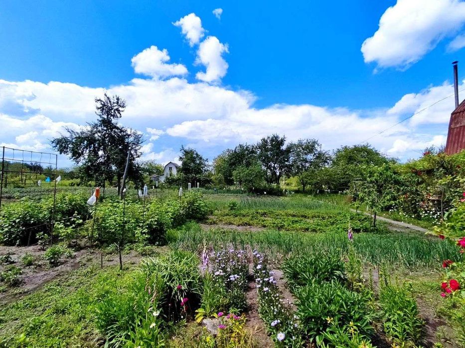 Продам дачу біля лісу - ділянка 15 соток та будинок з опаленням. (SP)