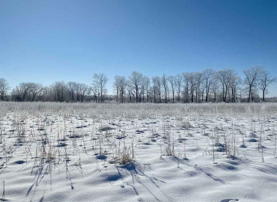 Продаж земельної ділянки 71 сотка - ОСГ. До траси - 100 метрів. ID:608