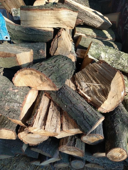 Sprzedam SUCHE drewno kominkowe i opałowe