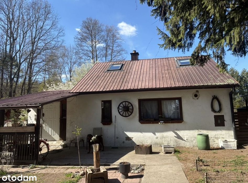 Całoroczny dom przy lesie – okolice Sobolewa, powiat garwoliński
