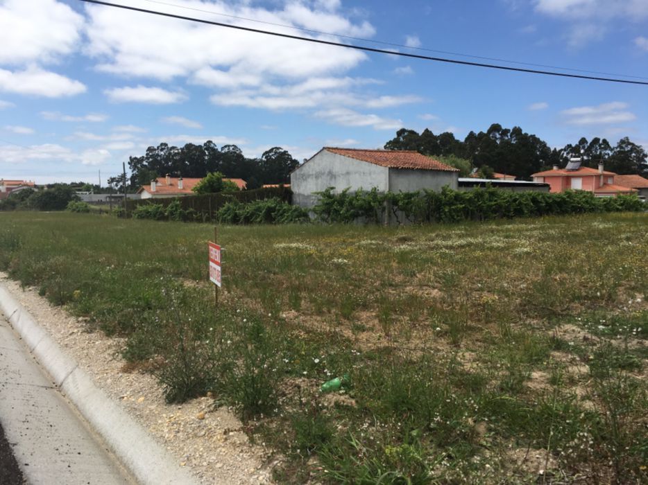 Terreno- Seixo- Gatões