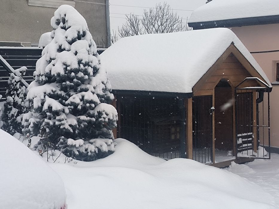 Продаж та догляд за рослинами