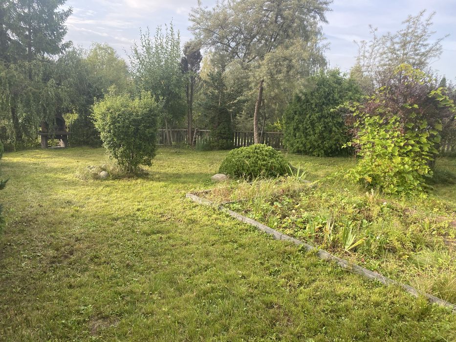 Zdjęcie 3