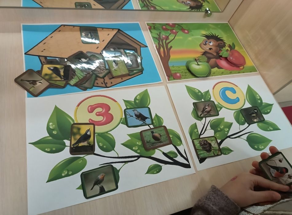 Логопедичні заняття онлайн  Суми