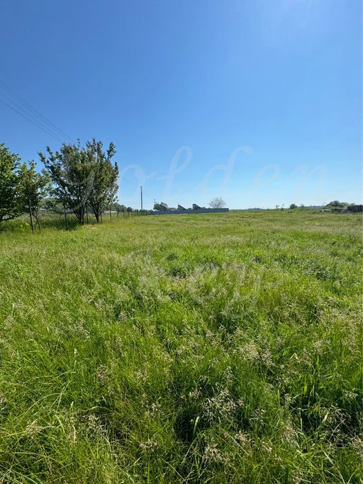 Продам Земельну Ділянку, 24 соток, с. ГЛИБОКЕ, Бориспіль