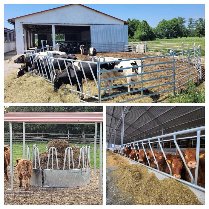 DRABINA SKOSNA dla bydła mocna masywna bydło mięsne