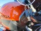 2019 Harley-Davidson FLHXS