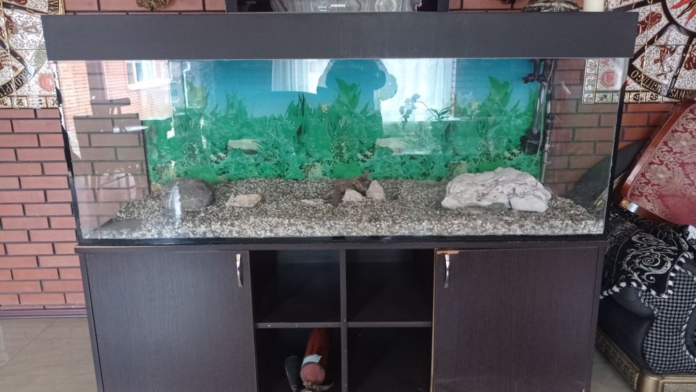 Продам акваріум ний набір