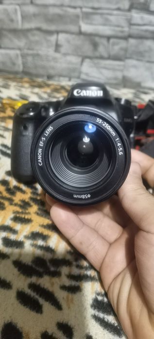 Canon 80D + Lente Canon 55-250mm