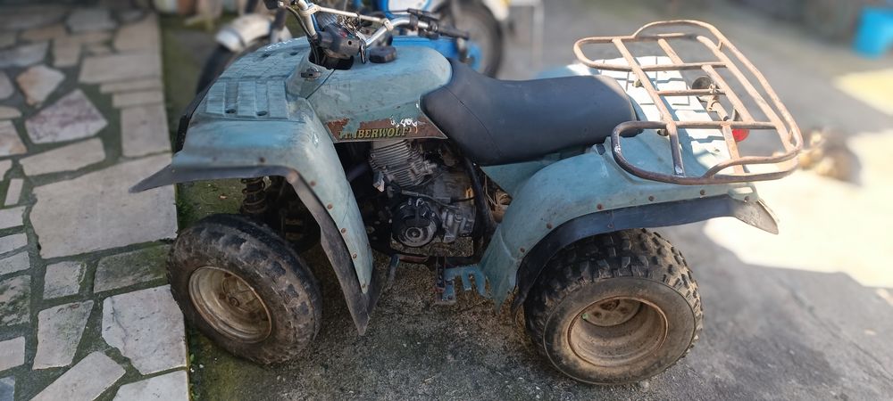 Moto 4 Timberwolf 250 com bola de engate