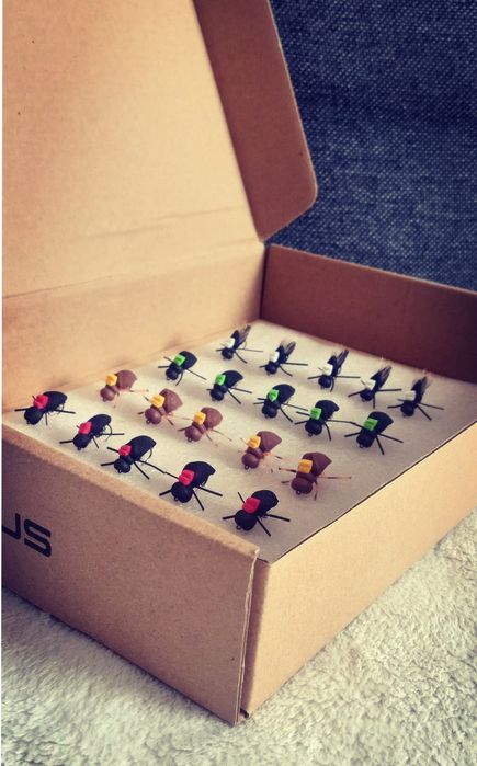 Muchy klen jaz pstrag