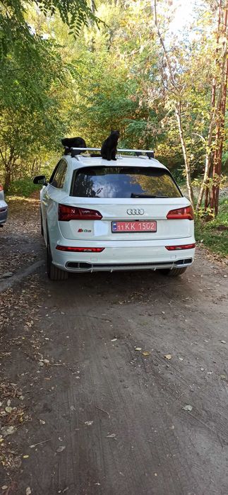 Audi sq5 2019 3 литра