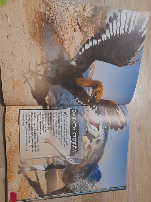 Książka dla dzieci "Wojny dinozaurów"