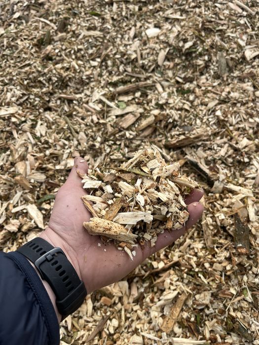 Zrębka kora sosnowa