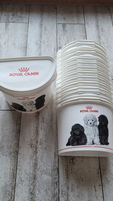 Royal Canin pudełko dla Pas lub Kota