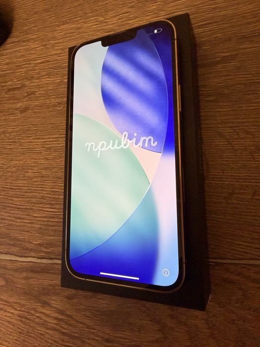 iPhone 13 pro max 256