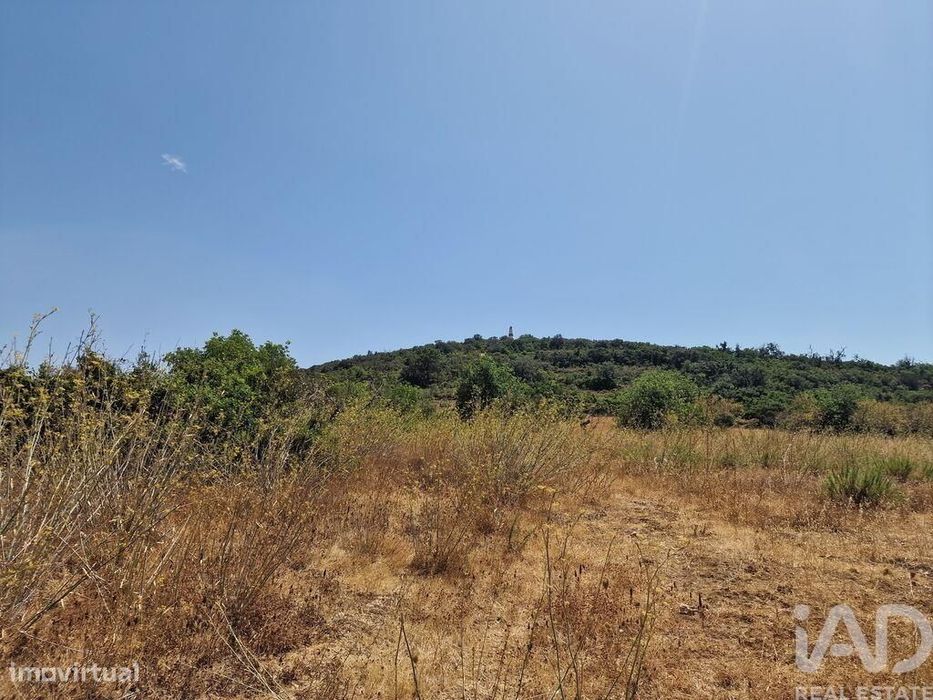 Terreno Agrícola em Santa Bárbara de Nexe