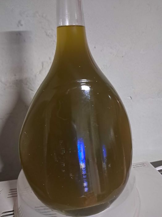 azeite caseiro do produtor