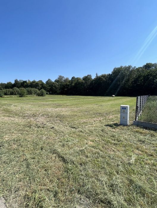 Działka inwestycyjna do wynajęcia 2200 m² Paplin Modrzewiowy dwór w Paplinie / bar / biznes pasywny przy trasie Liwiec kajaki, bar, handel - Widok 5