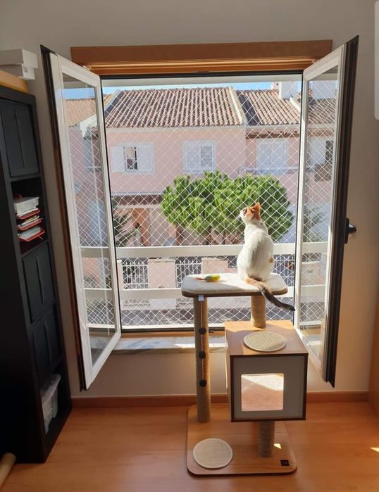 Rede de Proteção para Gatos