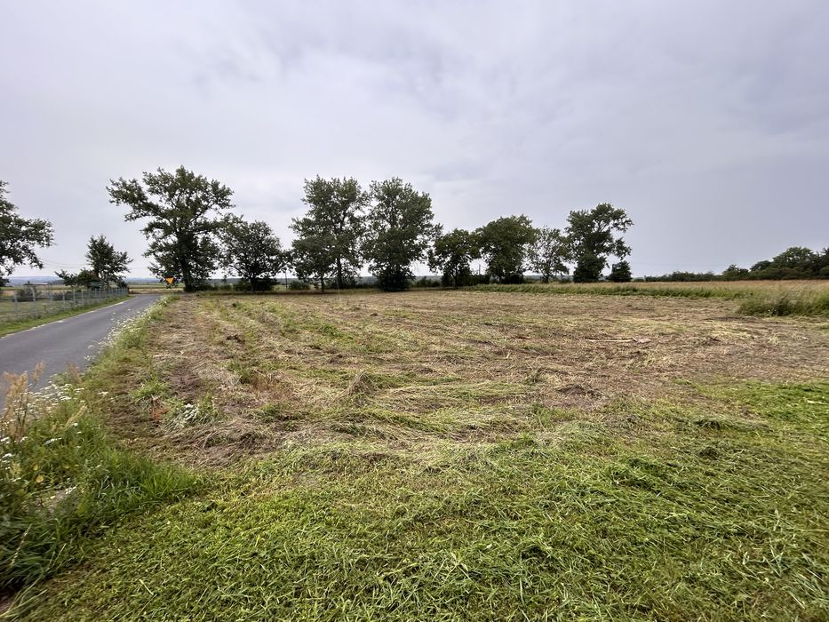 REZERWACJA Nieruchomosci