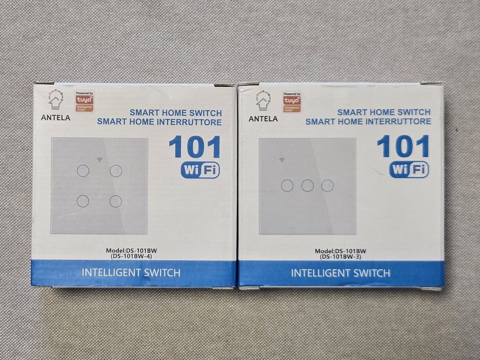 Interruptor Smart Home Wi-Fi (modelo DS-101BW)