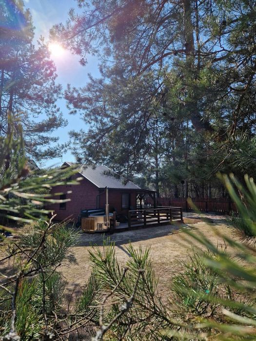 Domek pod lasem Radawa BALIA