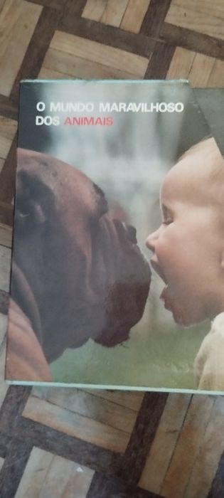 Enciclopédia o mundo maravilhoso dos animais