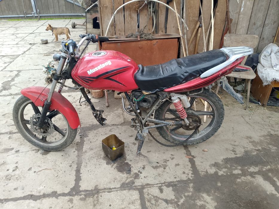 Продам мустанг 150