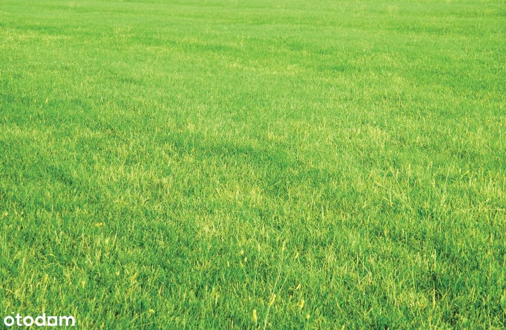 Jezierzany działki od 300m2 do 5000m2