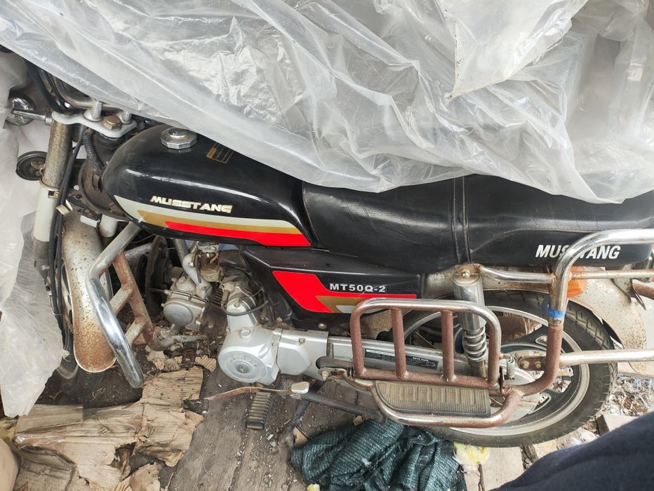 Musstang MT50Q-2