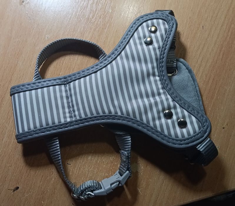 Продаю шлейку для собак та кішок від бренду  Just for Puppy.